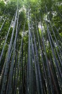 介子空间苹果版下载