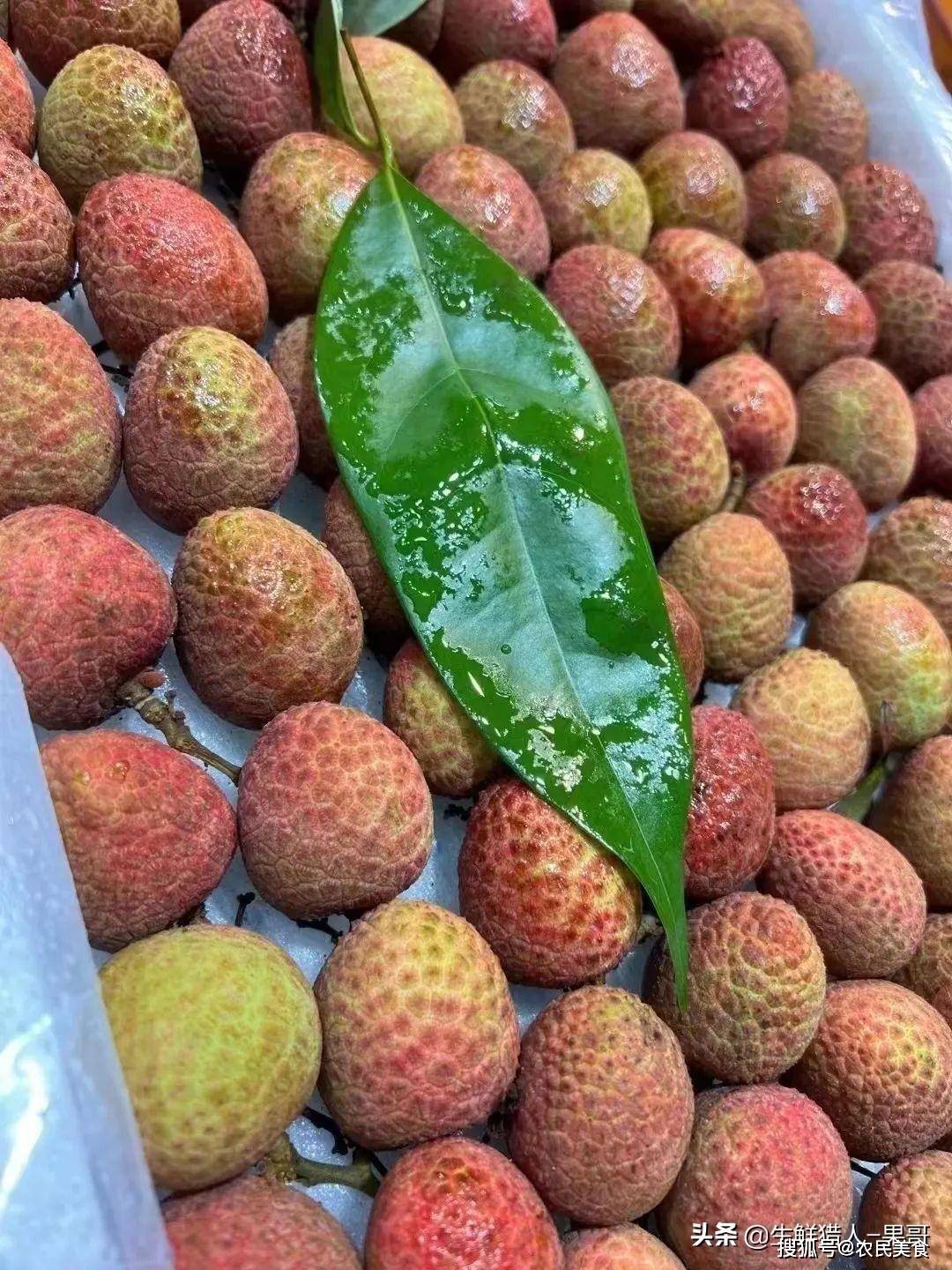 litchi安卓版mini御mini大疆用litchi