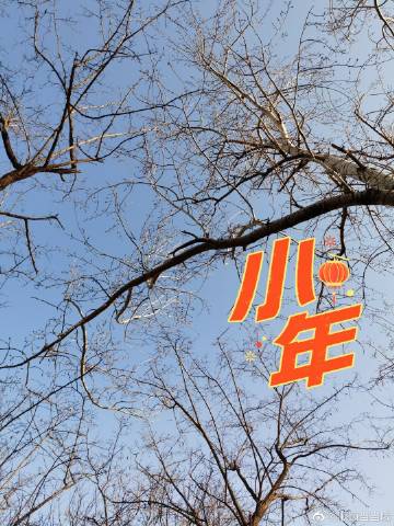当当网手机版当当图书网官网入口