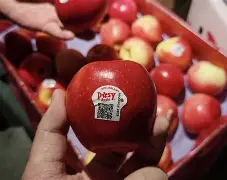 notnot苹果版(notion苹果版中文)-第3张图片-QuickQ官网