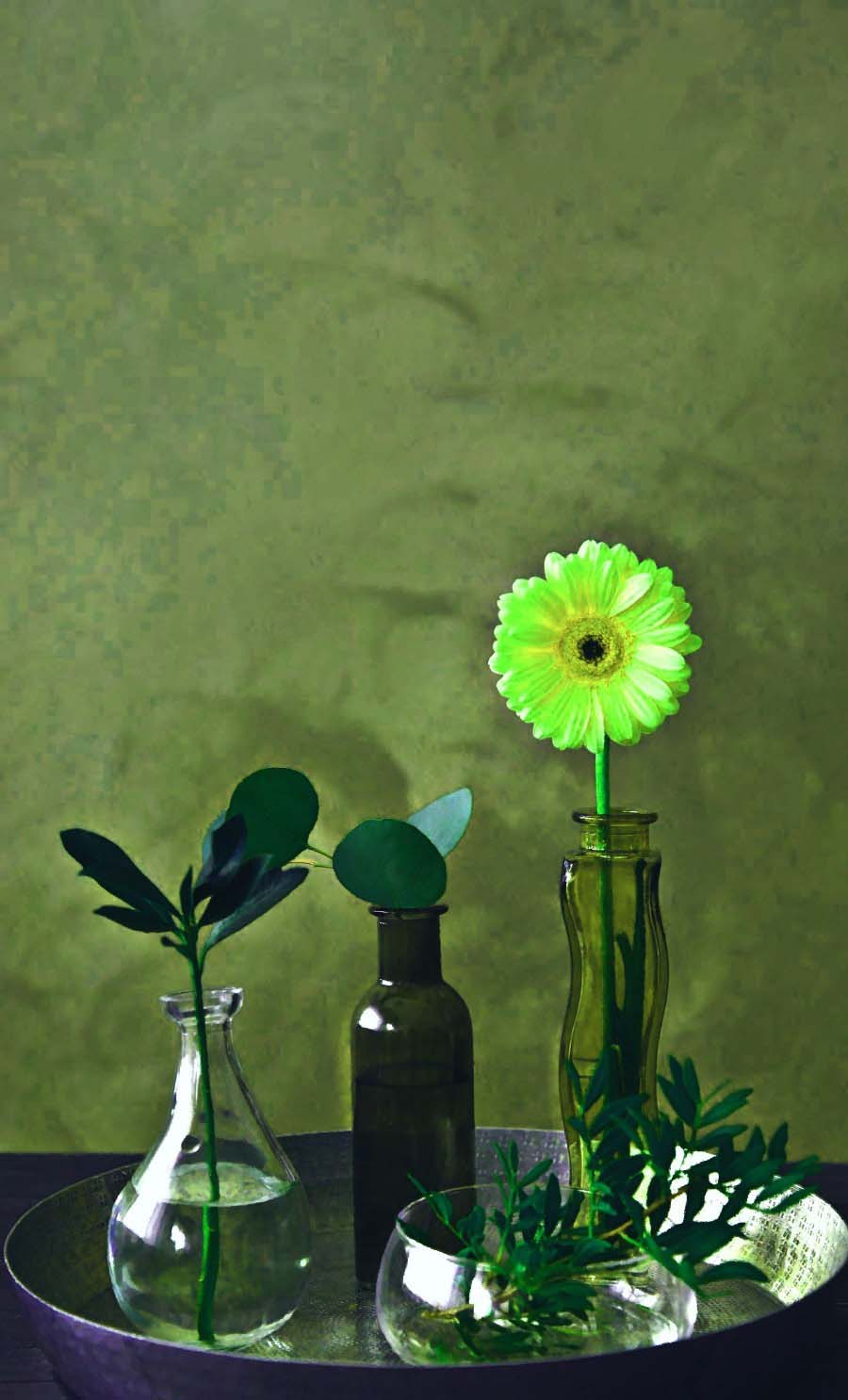 pictar苹果版(picskit苹果版下载)-第5张图片-QuickQ官网